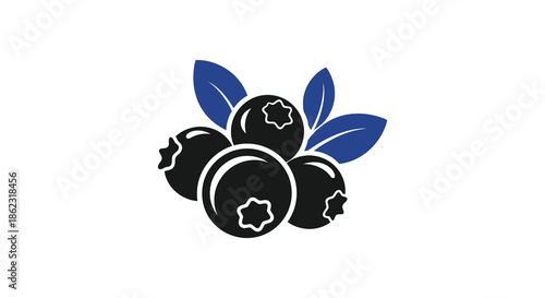 A stylish graphic illustration depicts a cluster of dark blueberries with accompanying green leaves