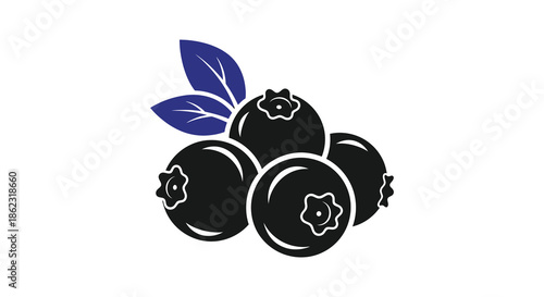 A simple illustration showcases a cluster of dark blueberries with green leaves above them
