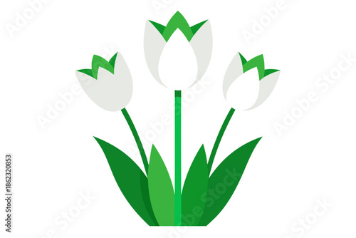 green tulip flower
