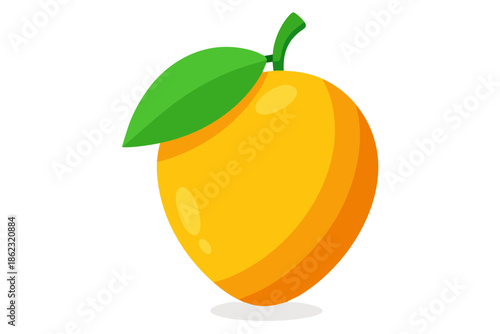 vector illustration of an orange