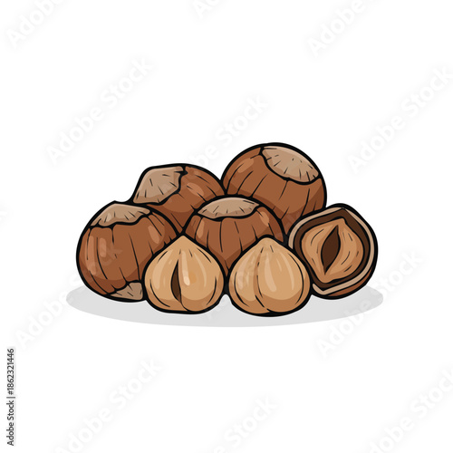 Hazelnut vector illustration