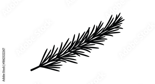 A simple black and white illustration of a single pine needle showcasing its delicate form and texture