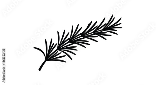 A simple black and white illustration depicts a single sprig of rosemary showcasing its needle like leaves