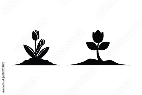 Black silhouette of two tulip plants growing in soil