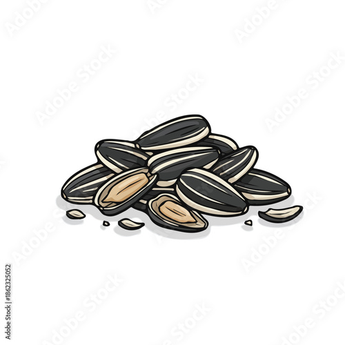 Sunflower seed vector illustration