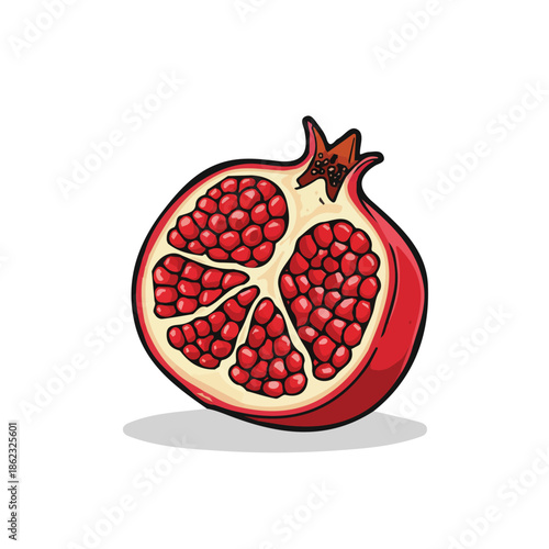 Pomegranate vector color icon design