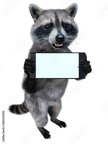 The common raccoon stands on its hind legs and shows us his smartphone with a white copy space screen. 3d rendering on transparent background, no AI used