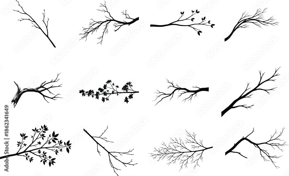 Obraz premium Vector silhouette of bare branches and twigs in black
