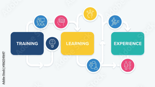 Training, Learning, and Experience Cycle Infographic for Professional Development
