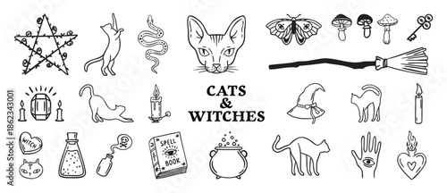 Cats and witches set spellbooks and cauldrons, candles and cat head, broom and rose, Halloween hand drawn monochrome line art, outline contour