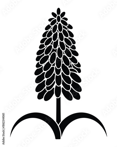 Stylized black and white illustration of a grape hyacinth flower with a tall, conical bloom and two curved leaves at its base.