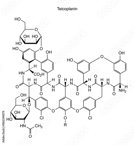 Teicoplanin, chemical structure of teicoplanin, drug substance