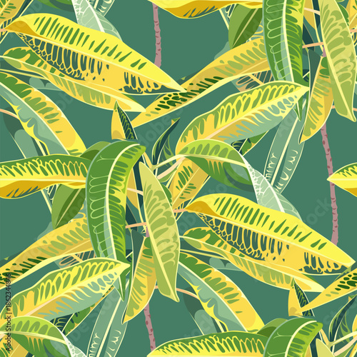 Seamless pattern with Variegatum trees with leaves. Codiaeum isolated on a green background. Desert and tropical houseplants. 