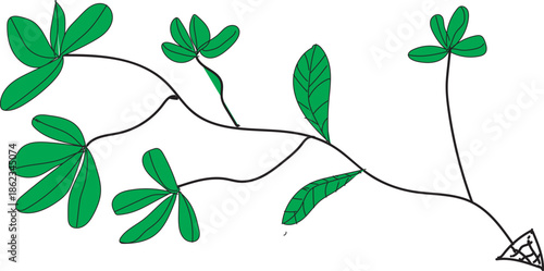 vector illustration of a plant