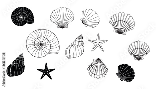 Collection of seashells and starfish isolated on white background