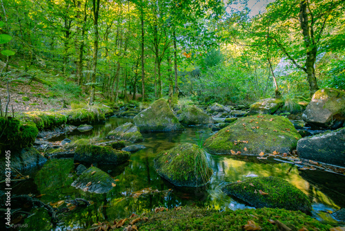 Bild auf Leinwand Riviere