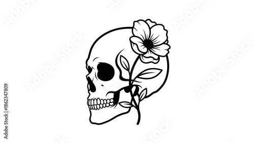 Skull and Flower Illustration A Symbol of Life and Death.