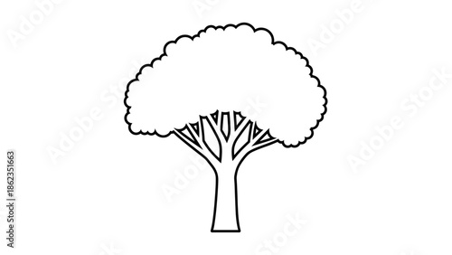 Stylized Tree Illustration with Rounded Canopy and Branch Details.