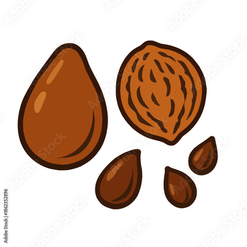 Fruit seeds or pits icon: avocado seed, peach pit, apple seeds, for gardening theme.