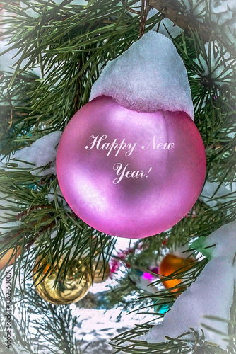 Wallpaper Mural A pink ball on a spruce branch outdoors. Torontodigital.ca