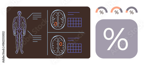 Human anatomy chart, neurological brain scans, charts, and percentage symbols. Ideal for medical science, diagnostics, neurology, statistics health analysis research educational purposes. Simple