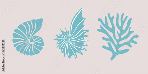 vector illustration of a shells, sea vibe