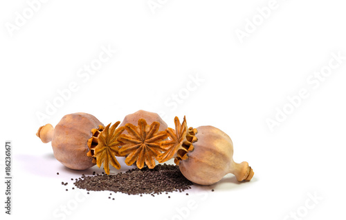 Getrocknete Mohnkapseln mit Samen vor weißem Hintergrund