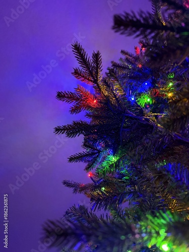 Colorful Christmas lights on evergreen branches