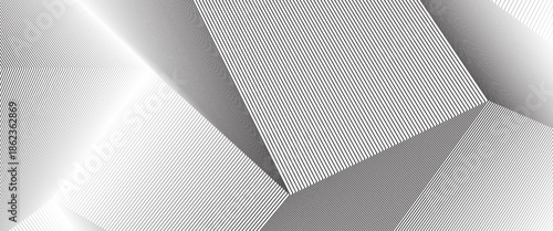 White black color. Linear background. Design elements. Poligonal lines. Protective layer for banknotes, certificates template. Vector Vector lines of different thicknesses from thin to thick EPS 10