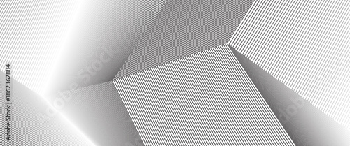 White black color. Linear background. Design elements. Poligonal lines. Protective layer for banknotes, certificates template. Vector Vector lines of different thicknesses from thin to thick EPS 10