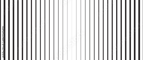 White black color. Linear background. Design elements. Poligonal lines. Protective layer for banknotes, certificates template. Vector Vector lines of different thicknesses from thin to thick EPS 10