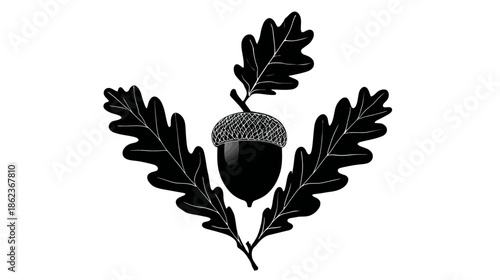 Black and white illustration of a ripe acorn surrounded by three detailed oak leaves. Nature-inspired graphic design element, silhouette.