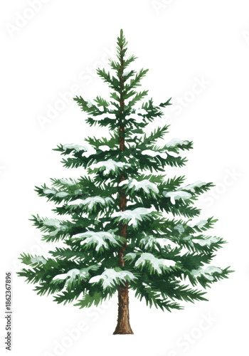 lush, detailed watercolor spruce tree illustration in deep forest green, snow-dusted, centered on transparent background with ample copy space. concept of elegant holiday design