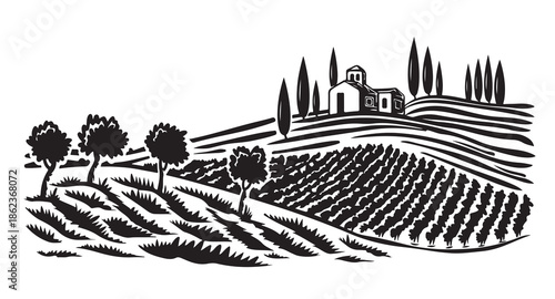 Vineyard Landscape. Vintage wine Label Background. Hand drawn illustration.	
