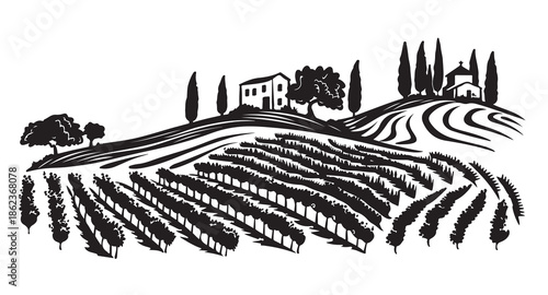 Vineyard landscape, Sketch, hand drawn illustrations.	
