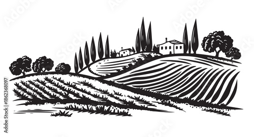 Vineyard Landscape. Vintage wine Label Background. Hand drawn illustration.	
