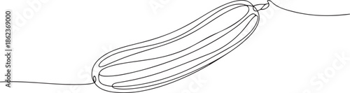 Continuous line drawing of cucumber, One single line sketch art concept of fresh food fruit and vegetable. one line Art icon drawing