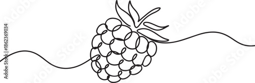 Raspberry one line drawing. Continuous outline of Raspberry fruit, one line Art icon drawing