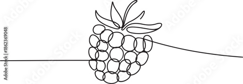 Raspberry one line drawing. Continuous outline of Raspberry fruit, one line Art icon drawing