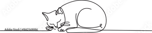Hand drawn one line art sleeping cat illustration. one line Art icon drawing