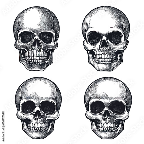 Detailed dotwork human skull illustrations with shading and shadow effects set on white background for tattoo and design projects collection of four skulls in black and white style