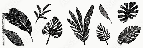 Hand drawn black tropical leaves silhouettes set with grunge texture, palm, monstera, banana leaf vector illustration, flat minimalist style