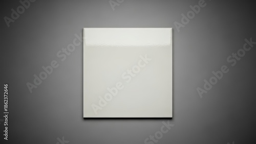 Blank white canvas on gray background for art presentation