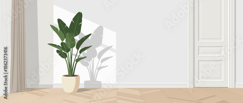 Empty minimalist room interior with a large potted houseplant, wooden herringbone parquet floor, and bright sunlight casting shadows on a blank white wall background