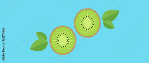 Two fresh green kiwi fruit slices with leaves in a minimalist flat design vector illustration on a bright blue background with ample copy space for text