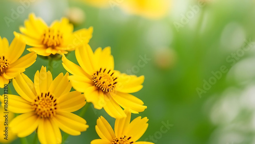 Vibrant Yellow Flowers Blooming in Nature's Garden - Close-Up Photography in a Lush Green Environment