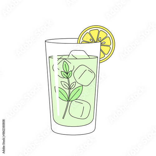 Iced herbal infusion with lemon slice and mint leaves in glass  