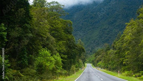 road going through jungle rain forest bush new zealand west coast green lush