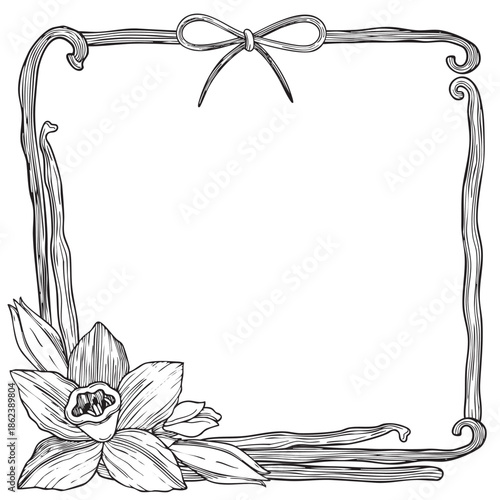 Hand-drawn blooming vanilla flowers and vanilla pods frame composition, graphic botanical detailed sketch on white background