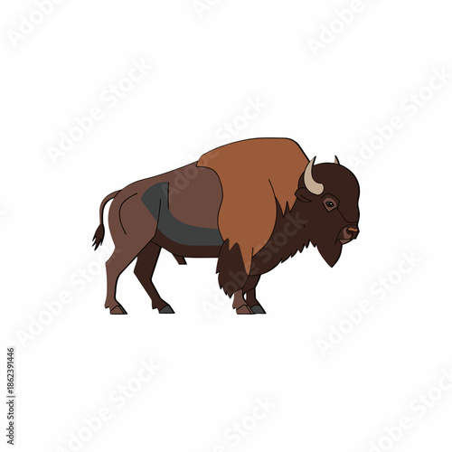 American bison buffalo vector illustration isolated on white background